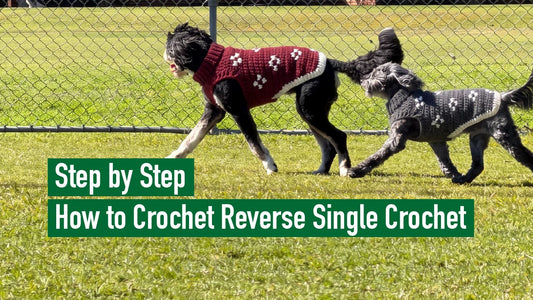 Step by Step How to Crochet Reverse Single Crochet