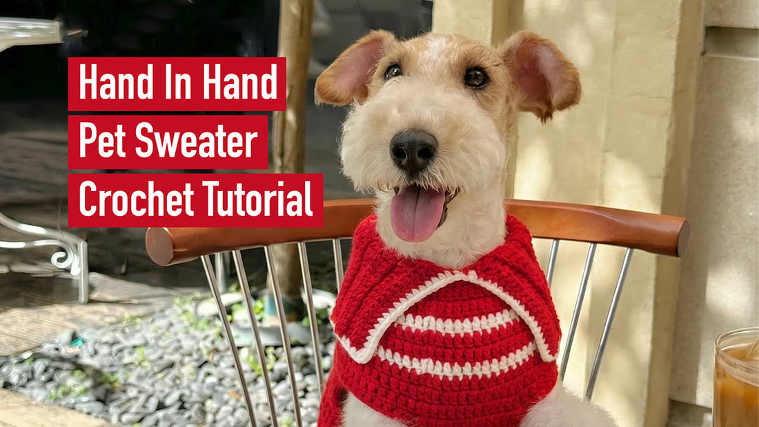 Hand In Hand Pet Sweater Crochet Tutorial