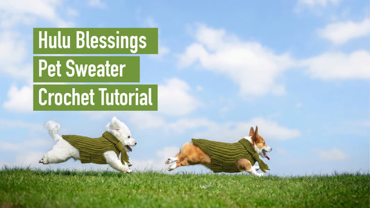 Hulu Blessings Pet Sweater Crochet Tutorial