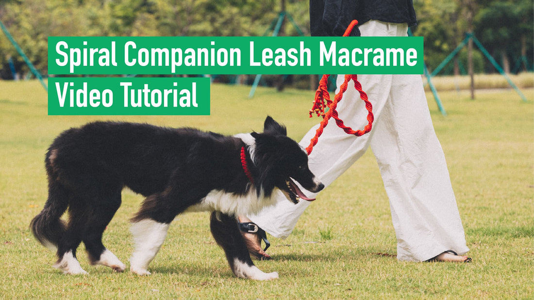 Spiral Companion Leash Macrame Tutorial