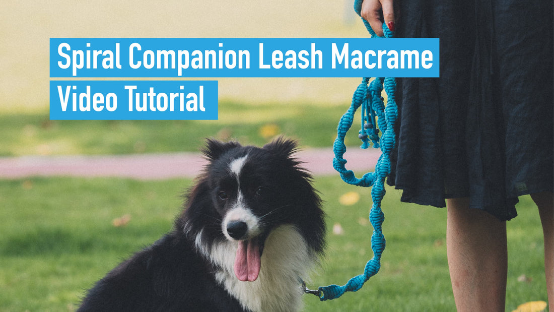 Spiral Companion Leash Macrame Tutorial
