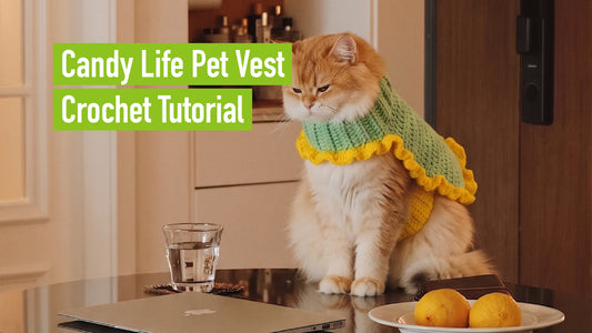 Candy Life Pet Vest Crochet Tutorial 01 Cover