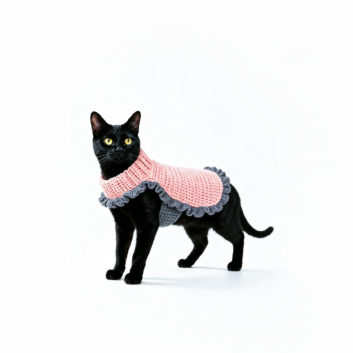 CANDY LIFE_Pet