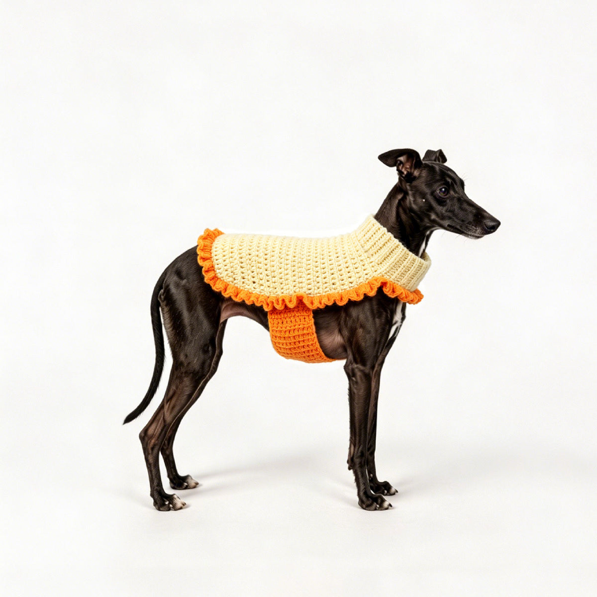 CANDY LIFE_Pet