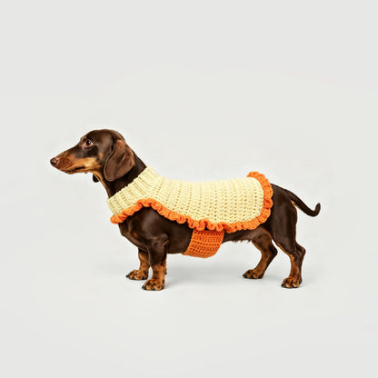 CANDY LIFE_Pet