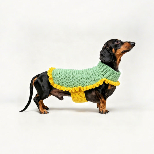 pet crochet vest DIY kit in Aqua Green, pet wear | mojioo