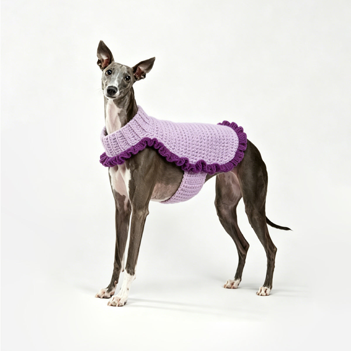 CANDY LIFE_Pet