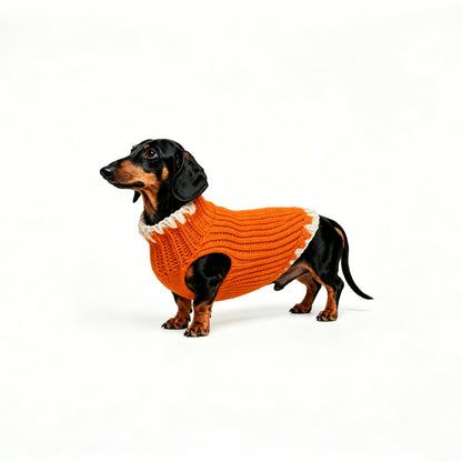 CLASH & GLOW_PET