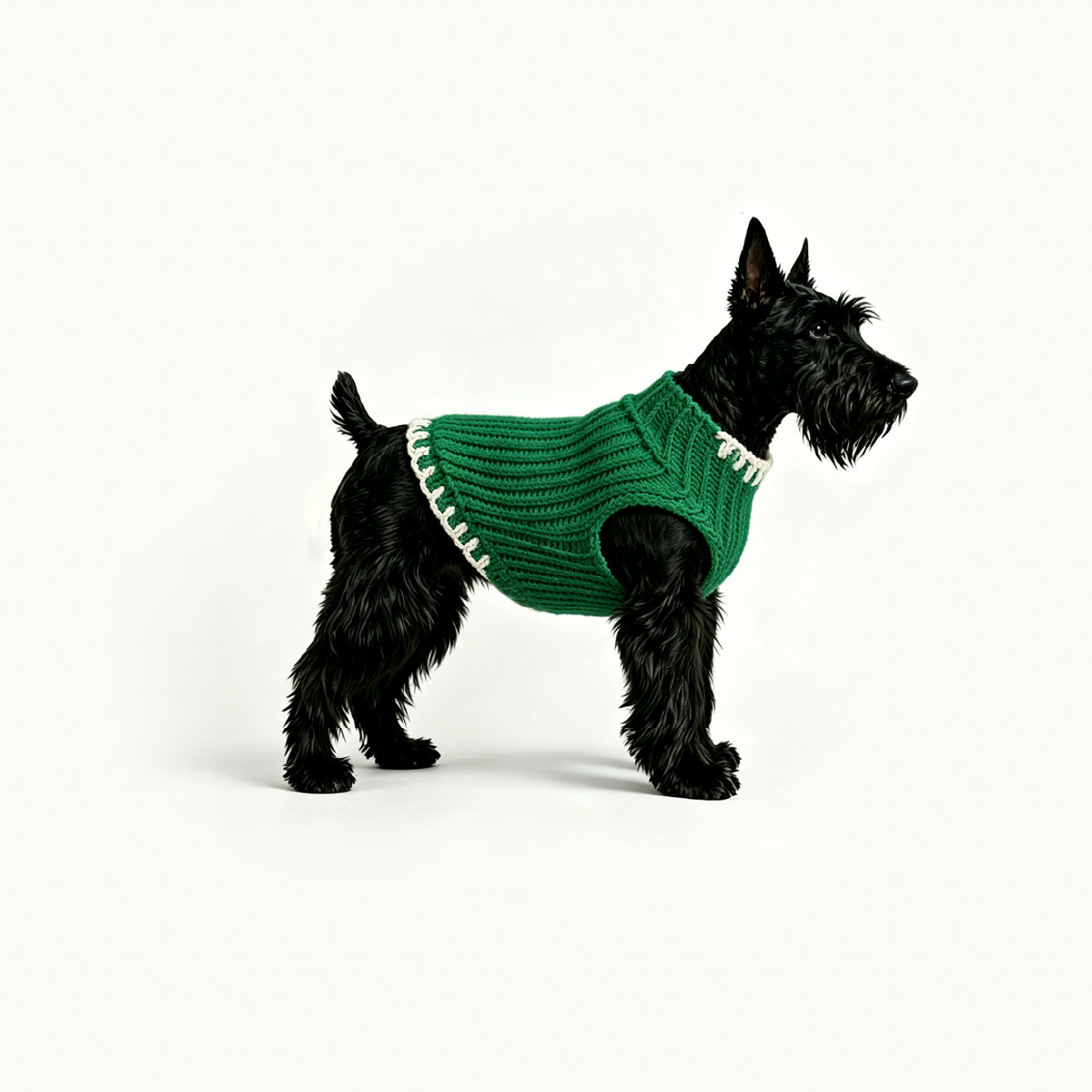 CLASH & GLOW_PET