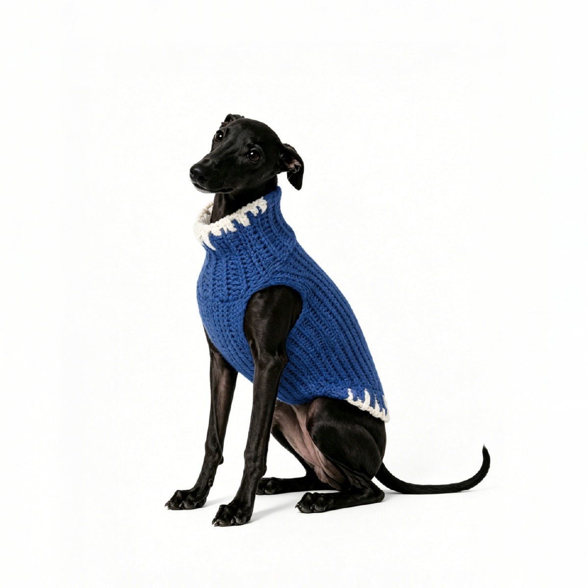 CLASH & GLOW_PET