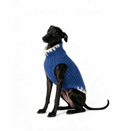 CLASH & GLOW_PET