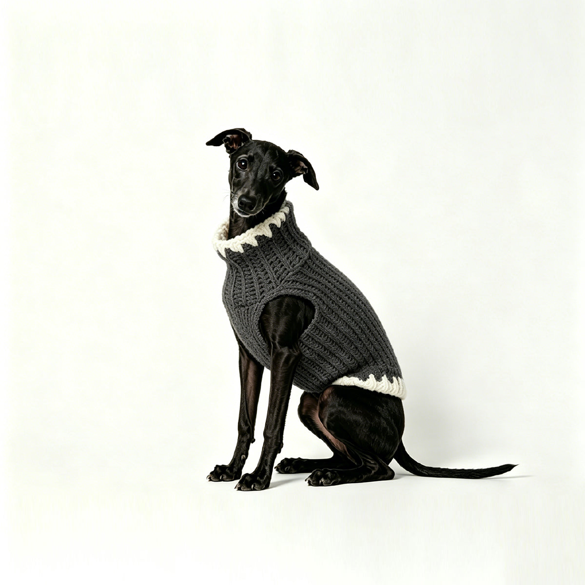 CLASH & GLOW_PET