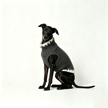 CLASH & GLOW_PET