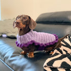 CANDY LIFE_Pet
