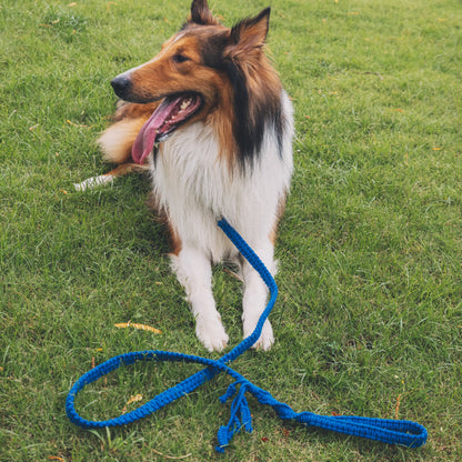 Hand Loop Parallel Single Color Leash Kit