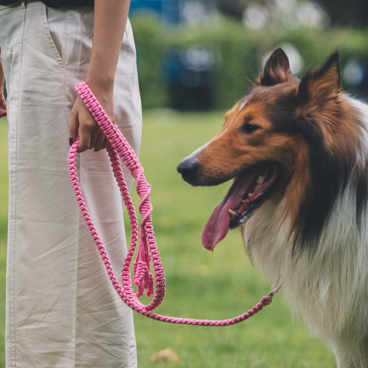 Hand Loop Parallel Single Color Leash Kit