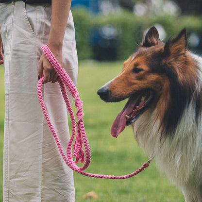 Hand Loop Parallel Single Color Leash Kit