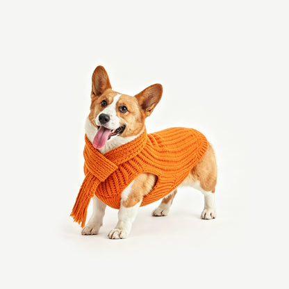 HULU BLESSINGS-PET