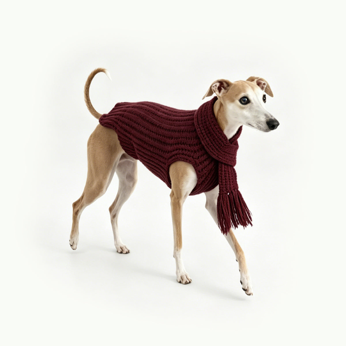 HULU BLESSINGS-PET