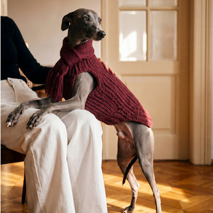 HULU BLESSINGS-PET