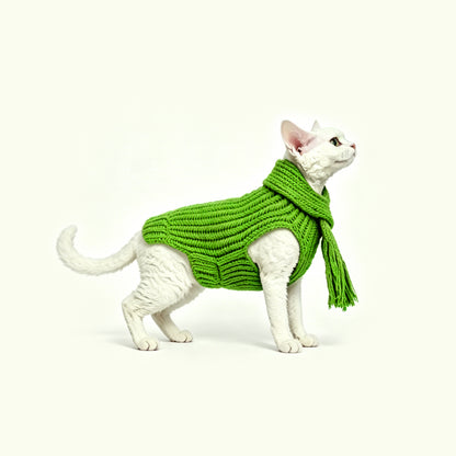 HULU BLESSINGS-PET