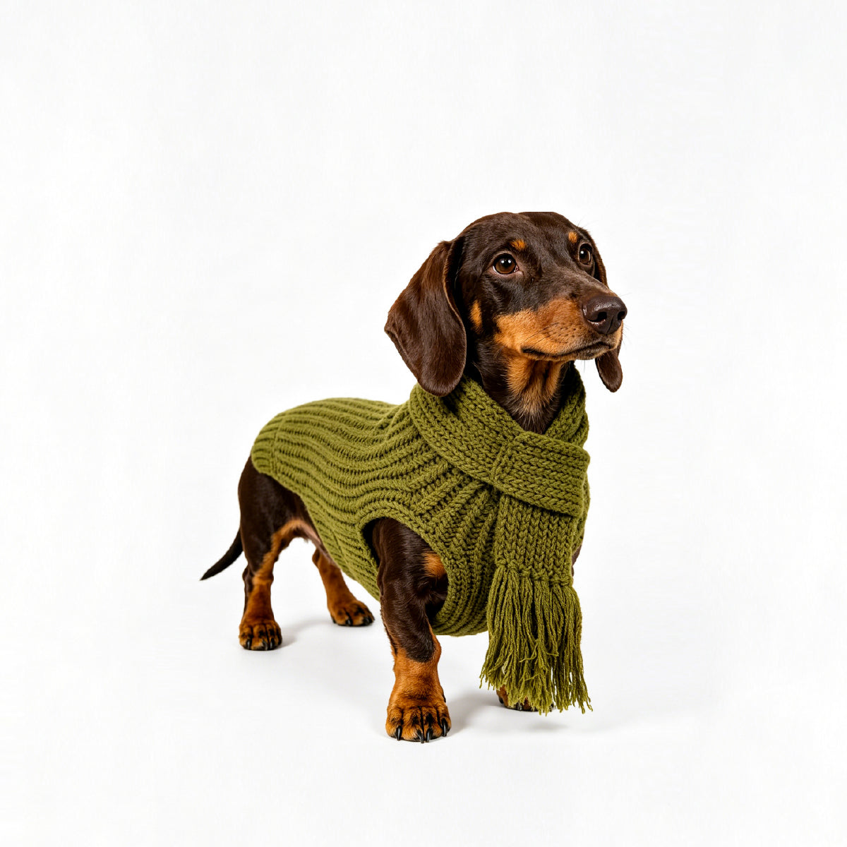 HULU BLESSINGS-PET