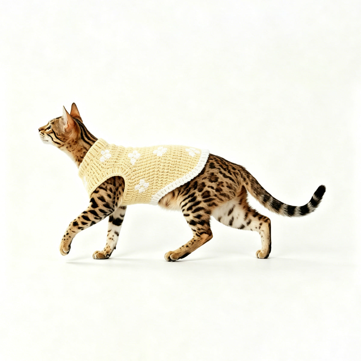 RHYTHM-PET