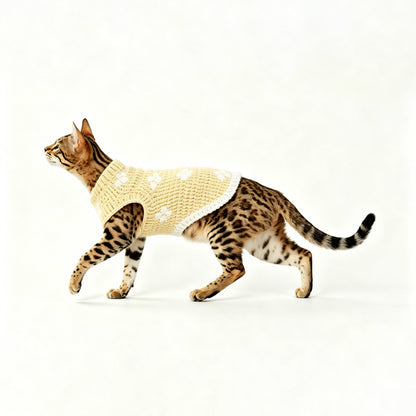 RHYTHM-PET