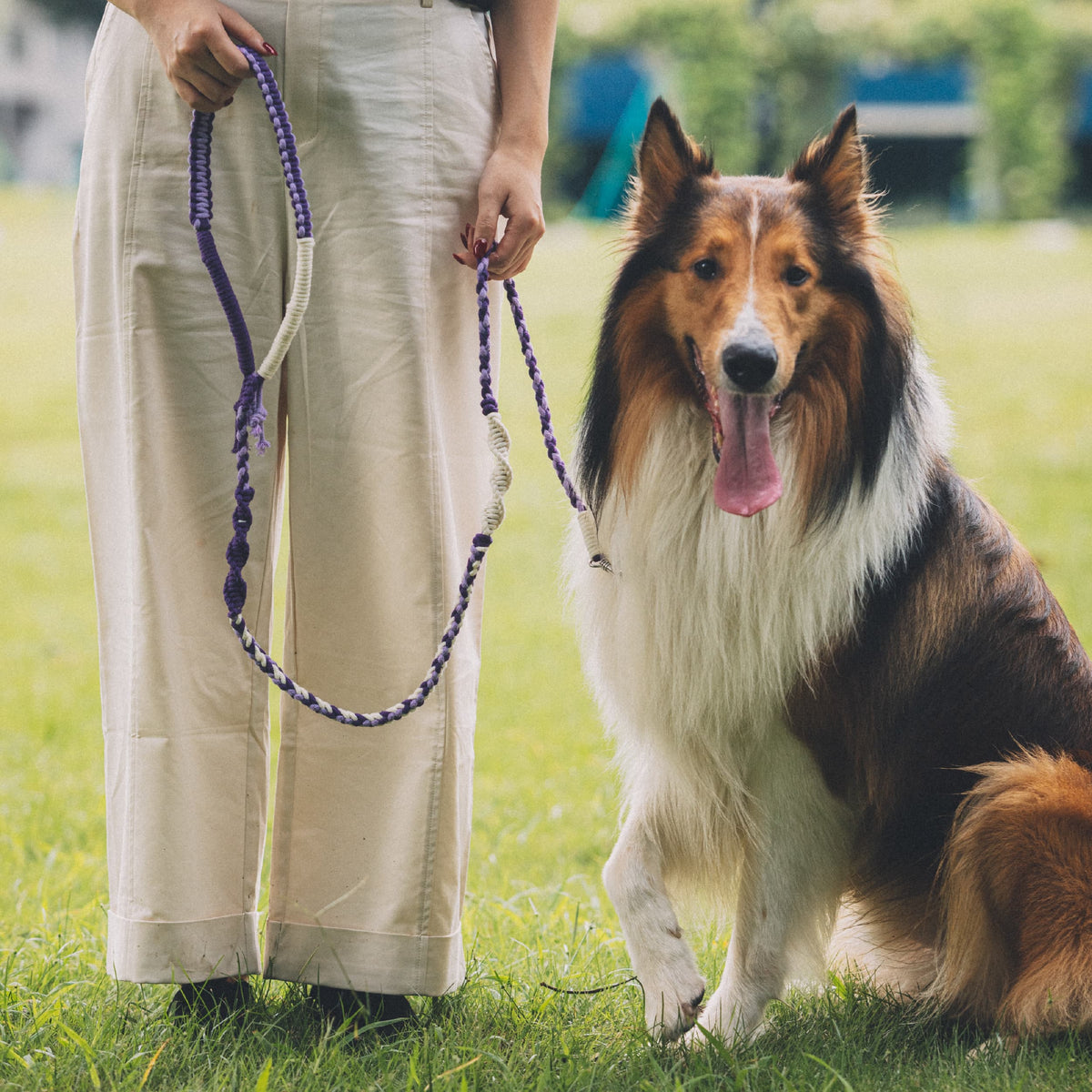Shoulder Loop Mixed-Knot 3-Color Leash Kit
