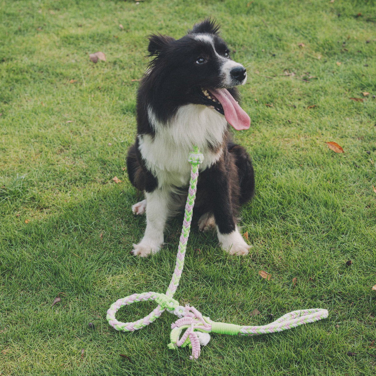 Hand Loop Flower 3-Color P-Leash Kit