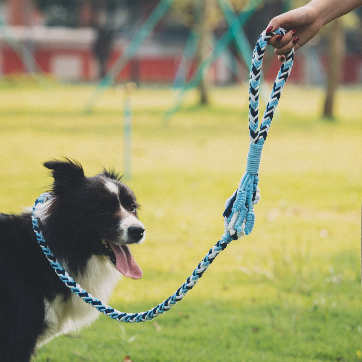 Hand Loop Flower 3-Color P-Leash Kit