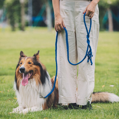 Hand Loop Parallel Single Color Leash Kit