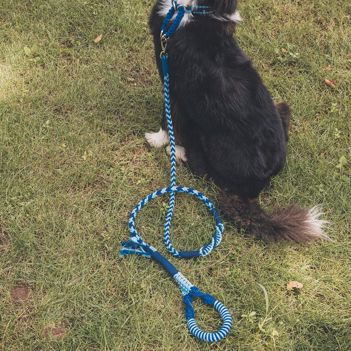Blend‑Knot Wander Leash Kit