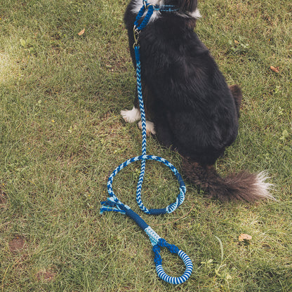 Blend‑Knot Wander Leash Kit