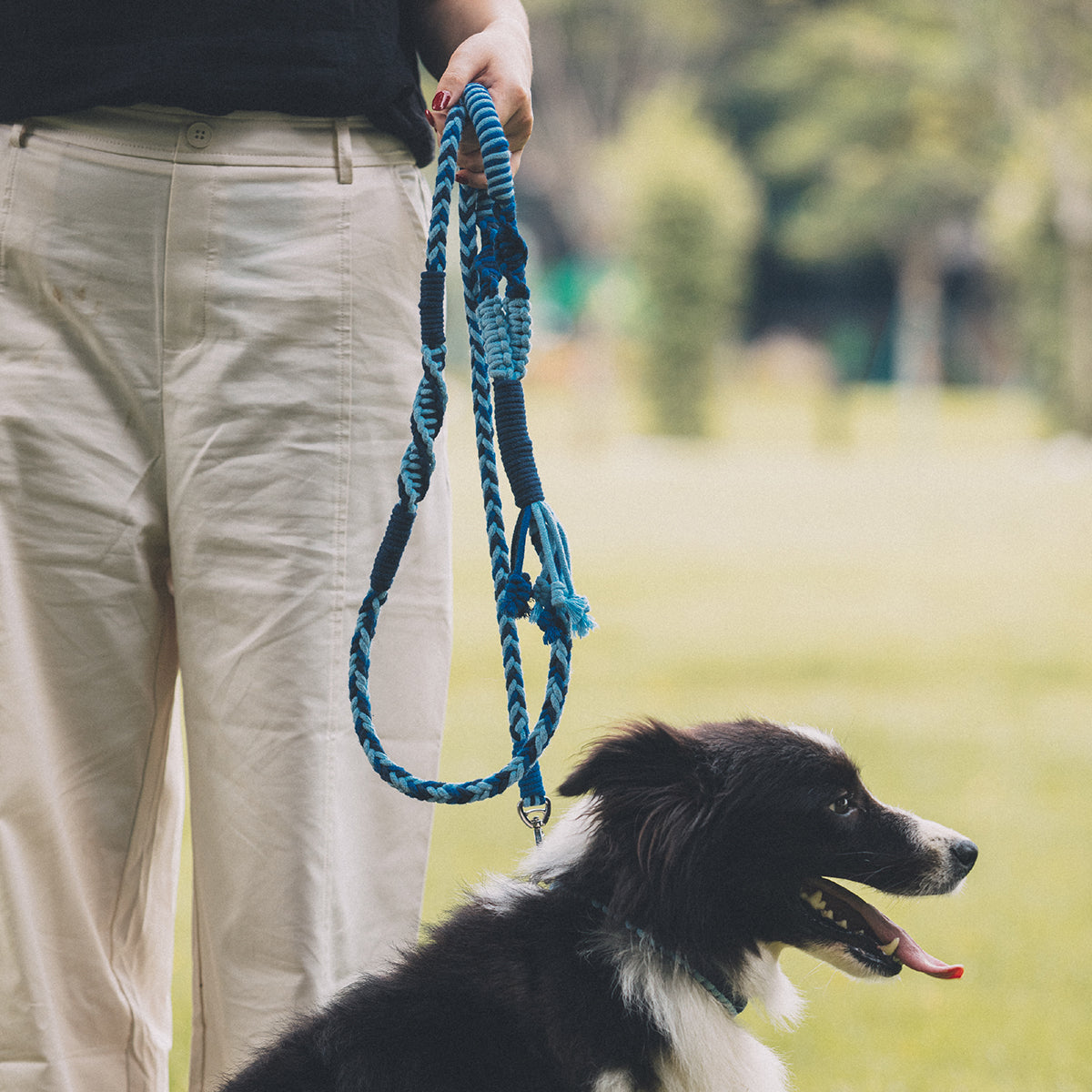 Blend‑Knot Wander Leash Kit