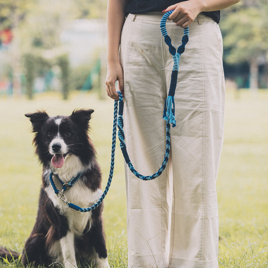 Blend‑Knot Wander Leash Kit