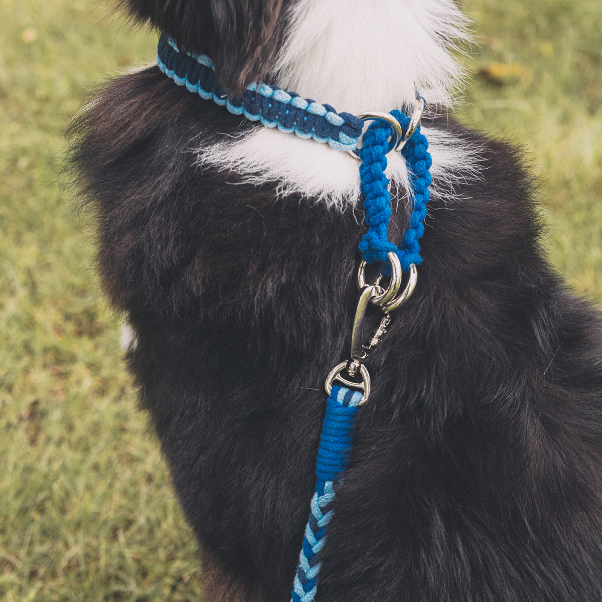 Blend‑Knot Wander Leash Kit