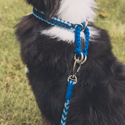 Blend‑Knot Wander Leash Kit