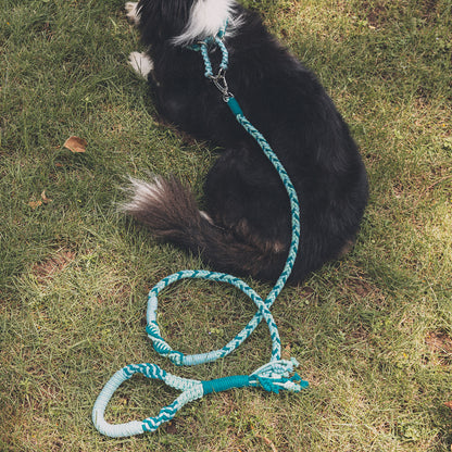 Blend‑Knot Wander Leash Kit