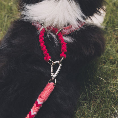 Blend‑Knot Wander Leash Kit