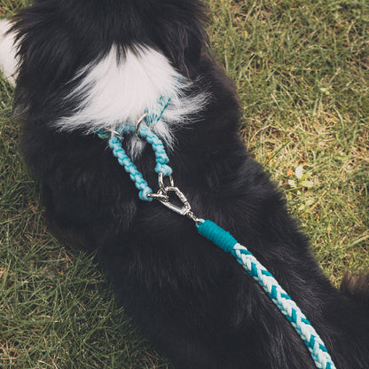 Blend‑Knot Wander Leash Kit