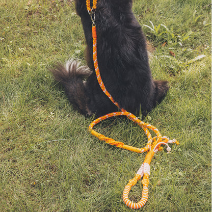 Blend‑Knot Wander Leash Kit