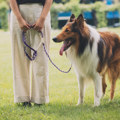 Shoulder Loop Mixed-Knot 3-Color Leash Kit