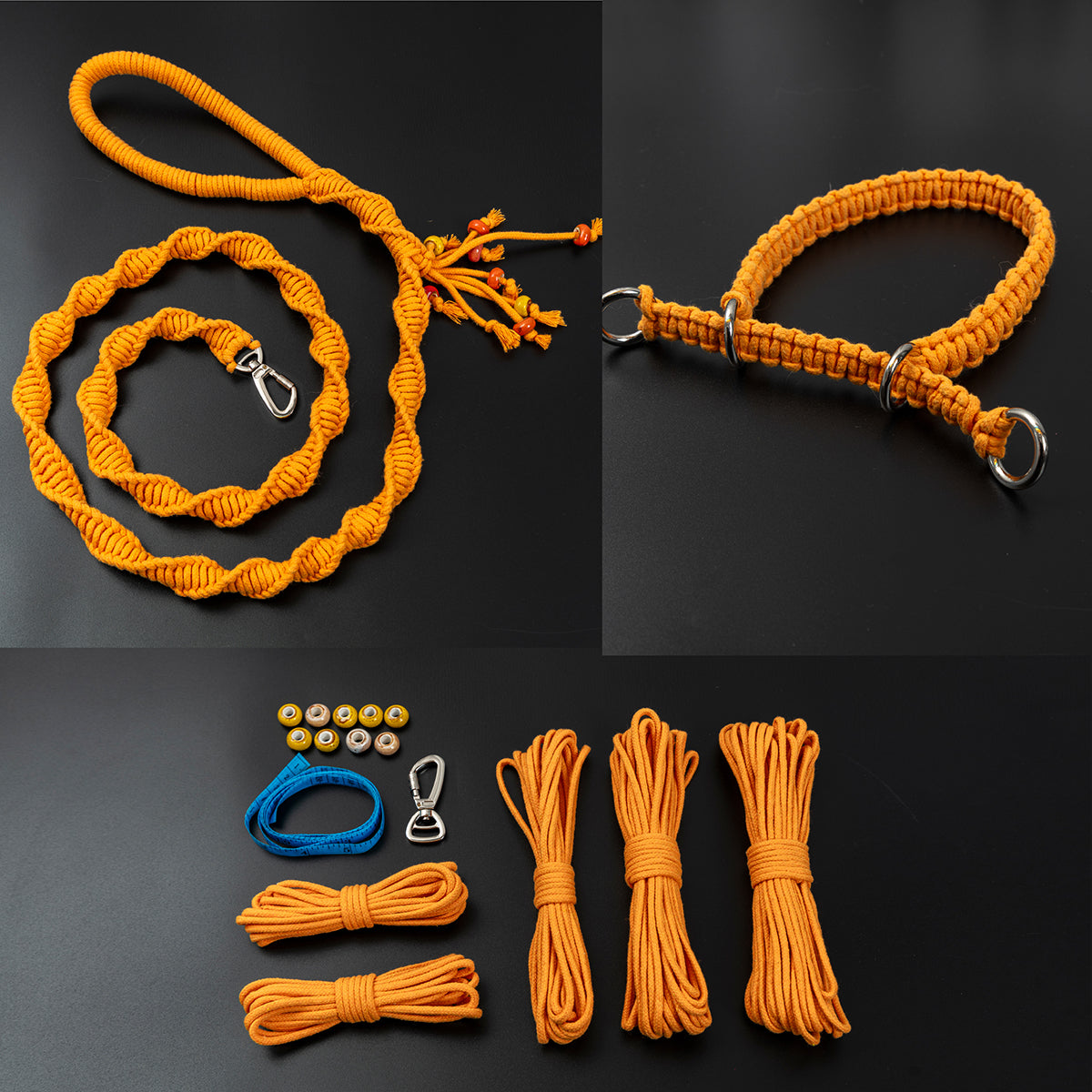 Spiral Companion Leash Kit