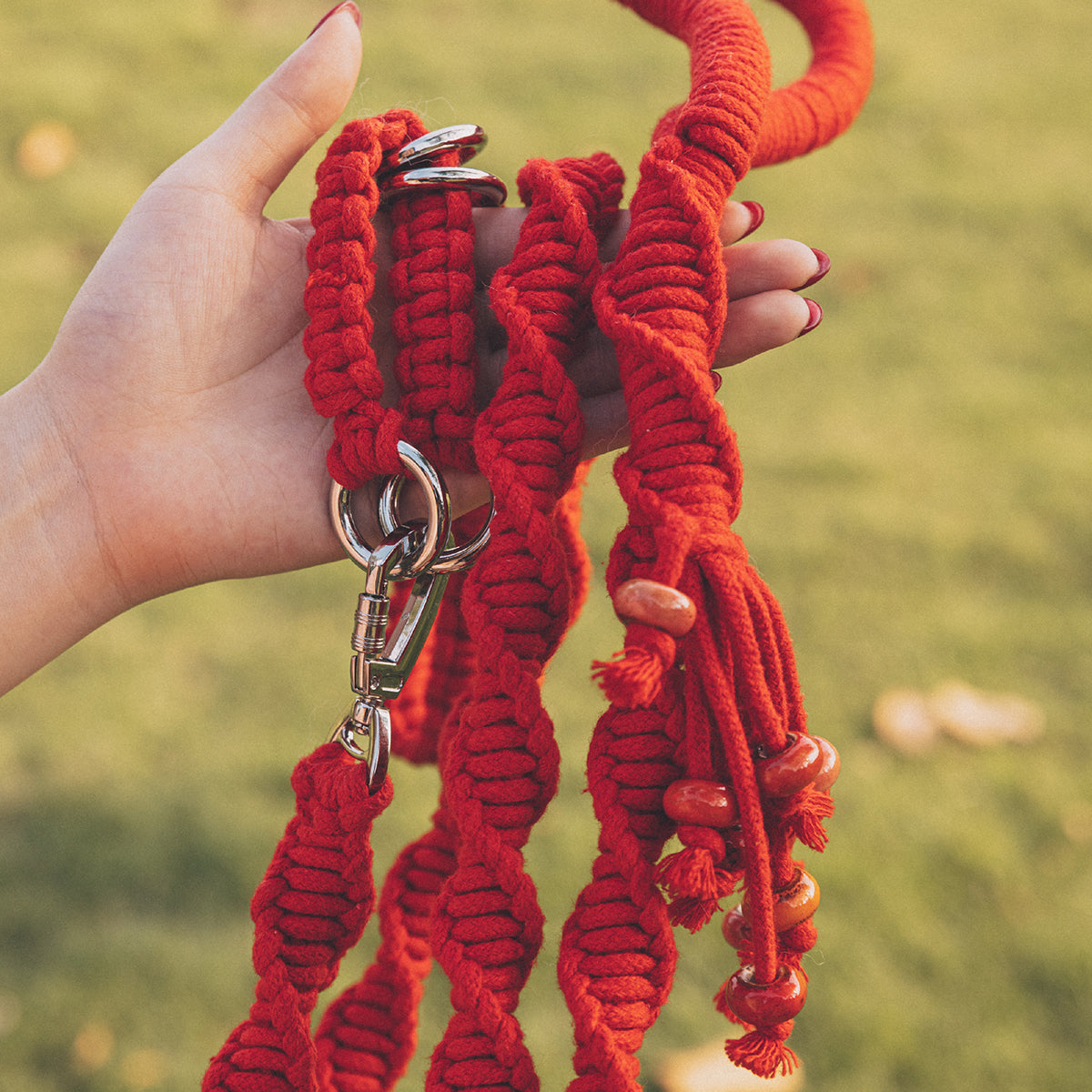 Spiral Companion Leash Kit