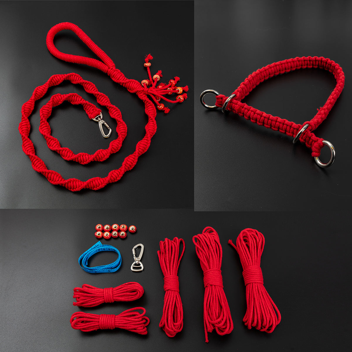 Spiral Companion Leash Kit