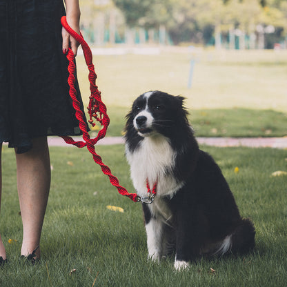 Spiral Companion Leash Kit