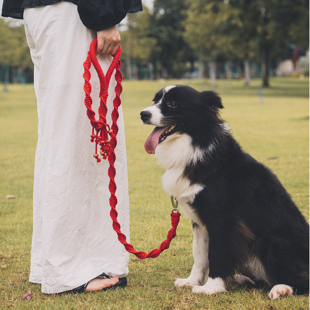 Spiral Companion Leash Kit