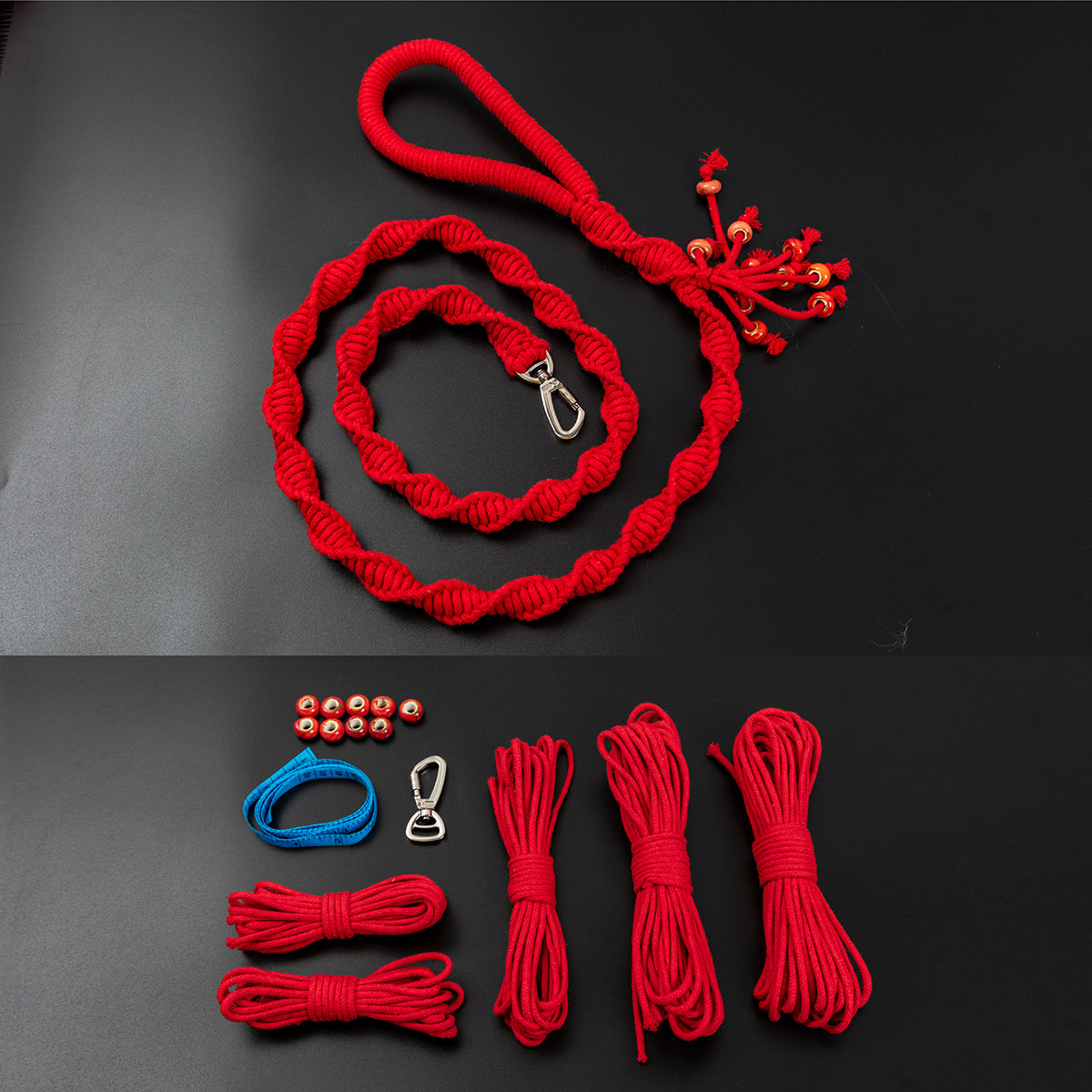 Spiral Companion Leash Kit