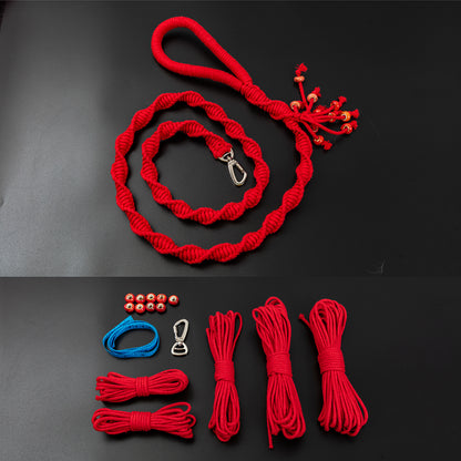 Spiral Companion Leash Kit